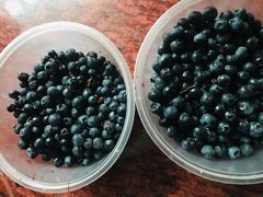 -大连熟食品交易中心