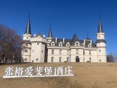 -北京张裕爱斐堡酒庄