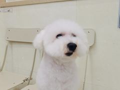 -瑞鹏宠物医院·微创内窥镜·骨外科·牙科(翠竹分院)