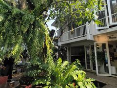 -Fern Forest Cafe