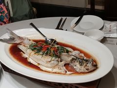 清蒸白鱼-春天来了(印象新天地店)