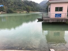 -中山市树木园
