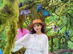 -沂蒙云瀑洞天景区