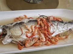 -小北江河鲜(新城店)