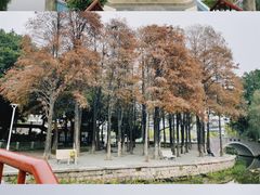 -中山公园