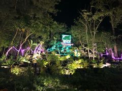 -绿光森林餐厅