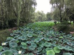 -宝鸡植物园