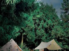 -武陵山森林公园