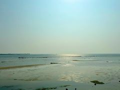 -北海金海湾红树林生态旅游区