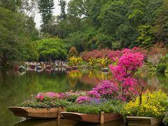 -深圳仙湖植物园