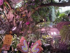 -正佳雨林生态植物园