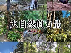 -莫里热带雨林景区