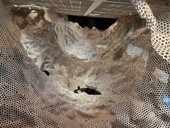 -路易斯安那现代艺术博物馆