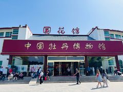 -曹州牡丹园