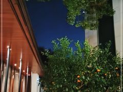 -九里云松·天香餐厅