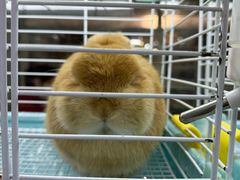 -三旗百汇商品城