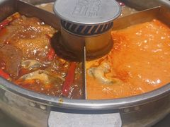 -巴奴毛肚火锅(九洲店)