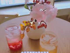 -柴犬小屋·柴餐厅·狗咖食堂(金鼎广场店)