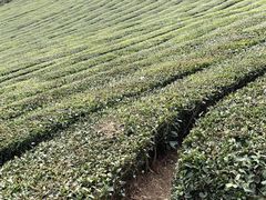 -敬亭山风景名胜区