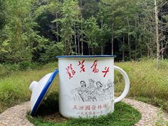 -五泄景区