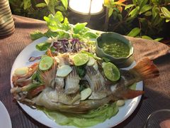 -Dash Teak House