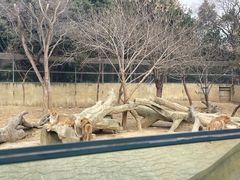 -常州淹城野生动物世界