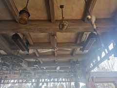 大堂-Tangled Tree Tavern 老藤树食栈