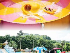 -重庆海昌加勒比海水世界