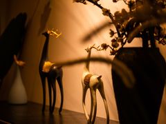 -足传奇足浴SPA(科技城店)