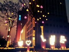 -运河游船(武林门码头)