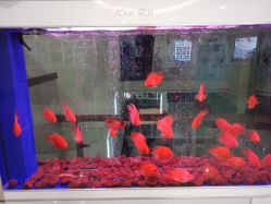 -成都军建医院·疤痕诊疗中心