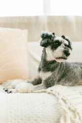 -ZOO KIDS象集摄影工作室(西城公馆店)