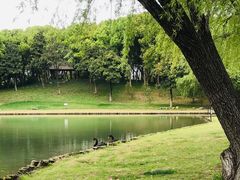 -新洲生态园