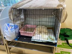 -瑞派·关忠动物医院(国瑞店)