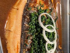 -蜀渔港·鱼缸烤鱼店(华山珑城店)