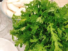-常赢三兄弟·清真涮肉·清真炒菜(朝阳新城店)