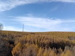 -塞罕坝国家级自然保护区