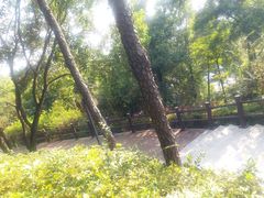 -四望岗公园