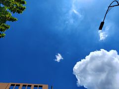 -B&C黄油与面包·THE GARDEN BAKERY概念店(世纪汇店)