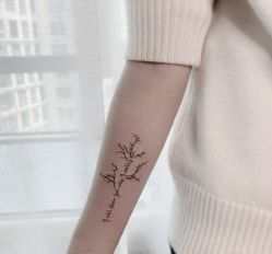 -明星刺青·洗纹身