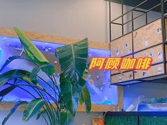 -阿顾西餐·牛排披萨(北戴河店)