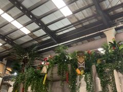 -南宫温泉水世界