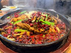 -老板恋上鱼(恒隆广场店)