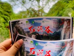 -陕西省红河谷森林公园