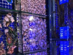 -青蓬蒸汽海鲜·深圳老字号·团建聚会(壹方城店)