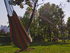 -重庆市江北嘴中央商务区中央公园