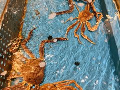 -蟹将军·松叶蟹和牛日料放题自助(K11店)