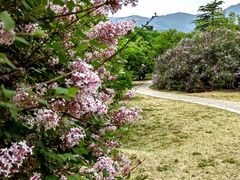 -国家植物园南园