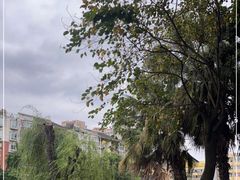 -杨柳河(地铁站)