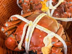 -蟹村草堂·苏式园林人文农家·大闸蟹